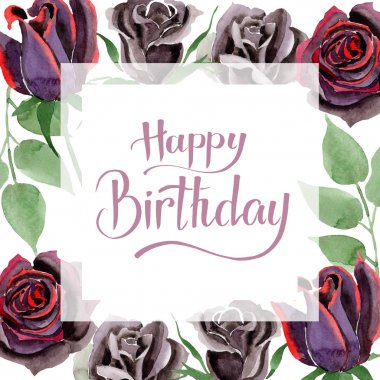 Siyah çiçek botanik çiçekler yükseldi. Suluboya arka plan illüstrasyon seti. Çerçeve kenarlık süsleme kare.