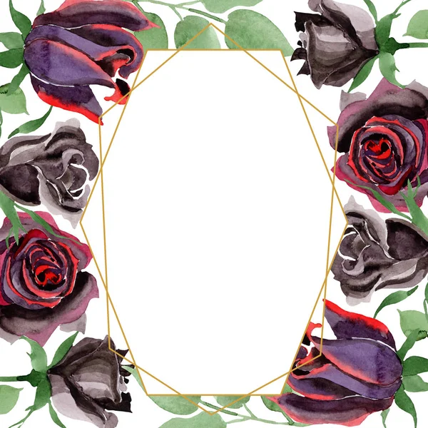 Rosa nera fiori botanici floreali. Acquerello sfondo illustrazione set. Quadrato ornamento bordo cornice . — Foto Stock