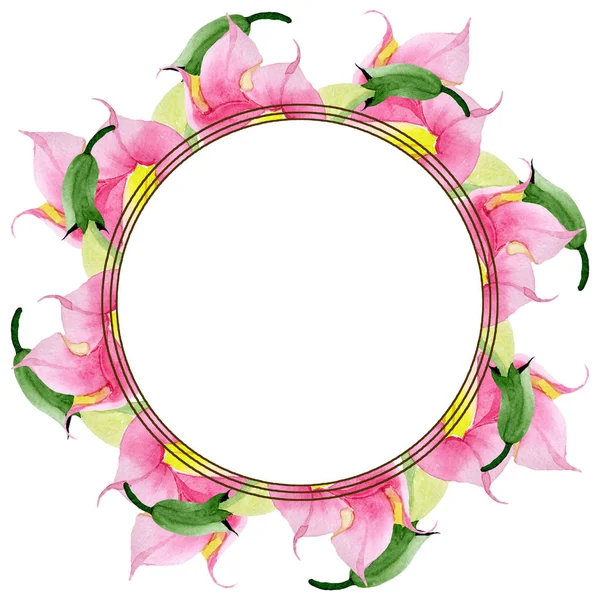 粉红色布鲁格曼西亚花卉植物花。水彩背景插图集。框架边框装饰广场. — 图库照片