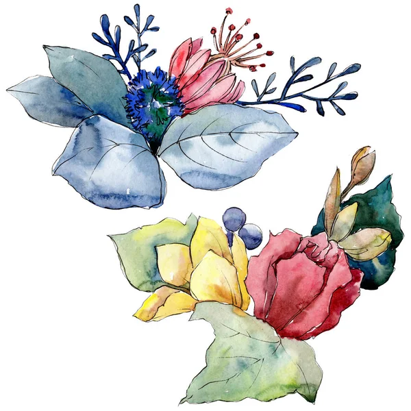 Květinové botanické květiny. Vodný obrázek pozadí-barevný. Izolované kytice, ilustrace prvku. — Stock fotografie