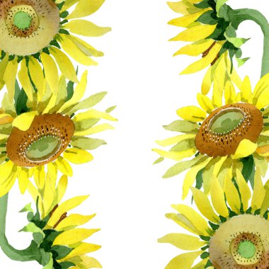 Ayçiçeği çiçek botanik çiçekleri. Suluboya arka plan illüstrasyon seti. Çerçeve kenarlık süs karesi.