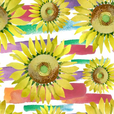 Ayçiçeği çiçek botanik çiçekleri. Suluboya arka plan illüstrasyon seti. Kesintisiz arka plan deseni.