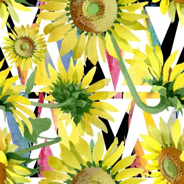 Ayçiçeği çiçek botanik çiçekleri. Suluboya arka plan illüstrasyon seti. Kesintisiz arka plan deseni.