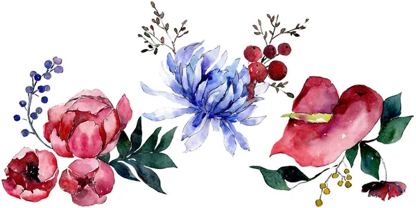 Ramo de flores botánicas florales. Conjunto de ilustración de fondo acuarela. Ramos aislados elemento de ilustración . — Foto de Stock