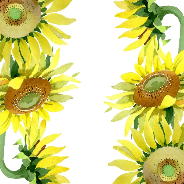 Fiori botanici floreali di girasole. Acquerello sfondo illustrazione set. Quadrato ornamento bordo cornice . — Foto Stock