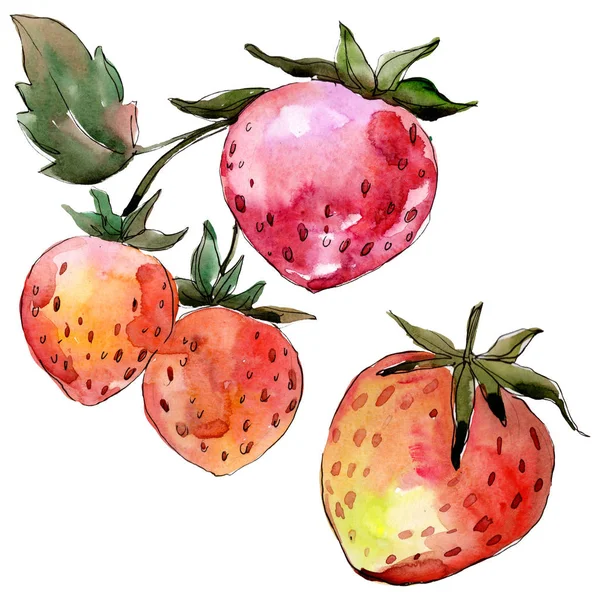 Fraise alimentation saine. Ensemble d'illustration de fond aquarelle. Élément d'illustration de baies isolé . — Photo