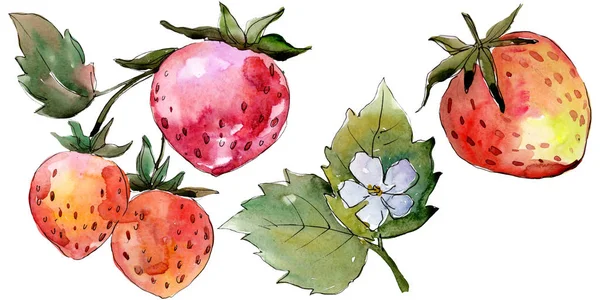 Jordbær sund mad. Akvarel baggrund illustration sæt. Isoleret bær illustration element . - Stock-foto