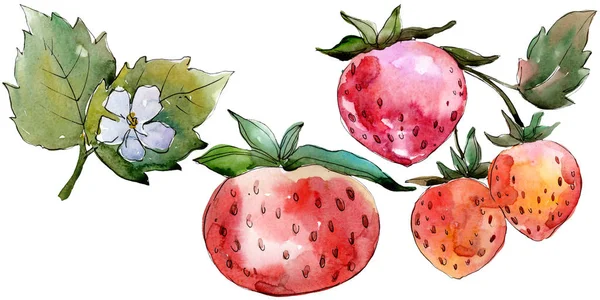 Aardbei gezond voedsel. Aquarel achtergrond illustratie instellen. Geïsoleerde Berry illustratie element. — Stockfoto