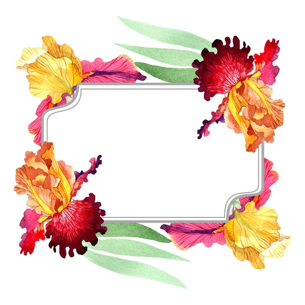 Red Bold encuentro iris flores botánicas florales. Conjunto de ilustración de fondo acuarela. Marco borde ornamento cuadrado . — Foto de Stock