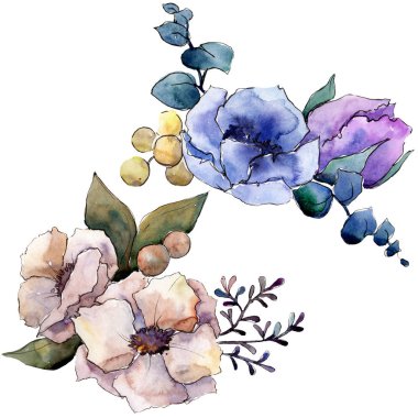 Buket çiçek botanik çiçekler. Suluboya arka plan illüstrasyon seti. İzole buketleri illüstrasyon elemanı.