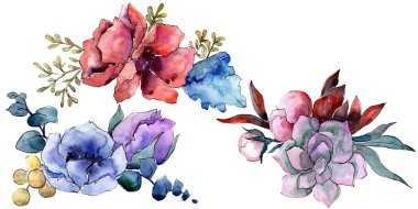 Buket çiçek botanik çiçekler. Suluboya arka plan illüstrasyon seti. İzole buketleri illüstrasyon elemanı.