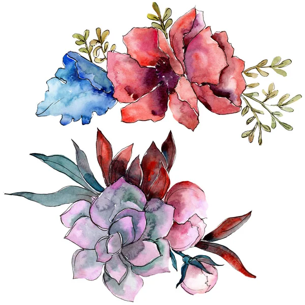 Buquê flores botânicas florais. Conjunto de ilustração de fundo aquarela. Isolados buquês elemento ilustrativo . — Fotografia de Stock