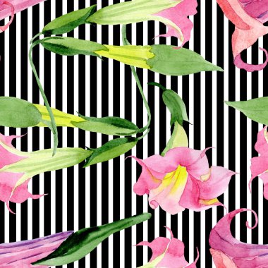 Pembe Brugmansia Floral botanik çiçekleri. Suluboya arka plan illüstrasyon seti. Kesintisiz arka plan deseni.