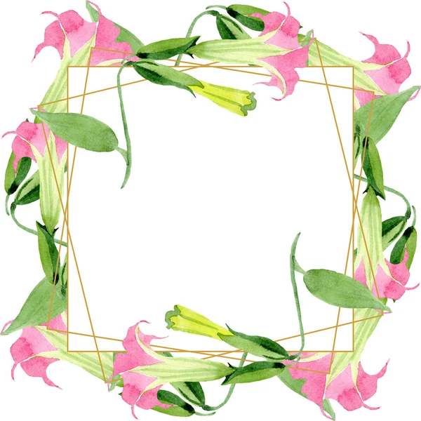 Rosa Brugmansia blommiga botaniska blommor. Akvarell bakgrund illustration uppsättning. Ram kant prydnad kvadrat. — Stockfoto