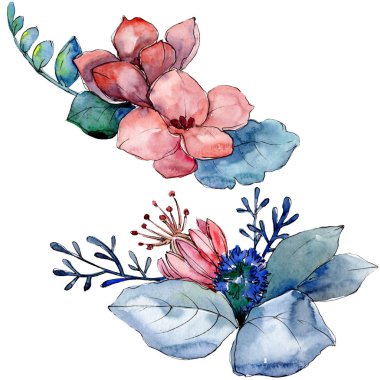 Buket çiçek botanik çiçekler. Suluboya arka plan illüstrasyon seti. İzole buketleri illüstrasyon elemanı.