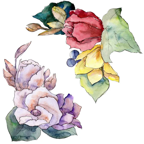 Bouquet floreale fiori botanici. Acquerello sfondo illustrazione set. Mazzi isolati elemento illustrazione . — Foto Stock