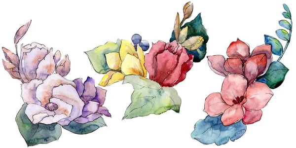 Buchet flori florale botanice. Set de ilustrații de fundal acuarelă. Buchete izolate element ilustrare . — Fotografie, imagine de stoc