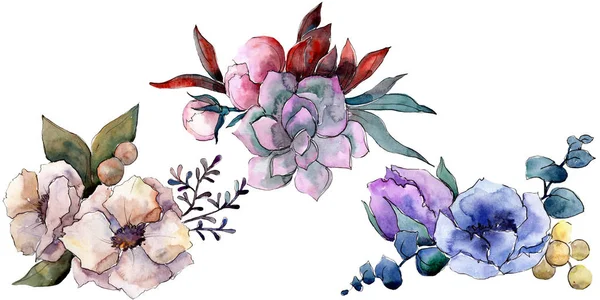 Buquê flores botânicas florais. Conjunto de ilustração de fundo aquarela. Isolados buquês elemento ilustrativo . — Fotografia de Stock