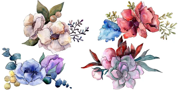 Boeket bloemen botanische bloemen. Aquarel achtergrond illustratie instellen. Geïsoleerde boeketten illustratie element. — Stockfoto