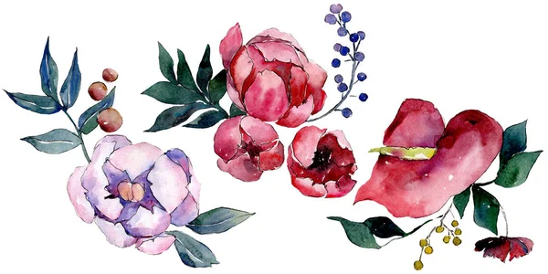 Bouquet floral de fleurs botaniques. Ensemble d'illustration de fond aquarelle. Bouquets isolés élément illustration . — Photo