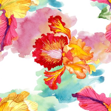 Kırmızı Bold karşılaşma iris çiçek botanik çiçekler. Suluboya arka plan illüstrasyon seti. Kesintisiz arka plan deseni.