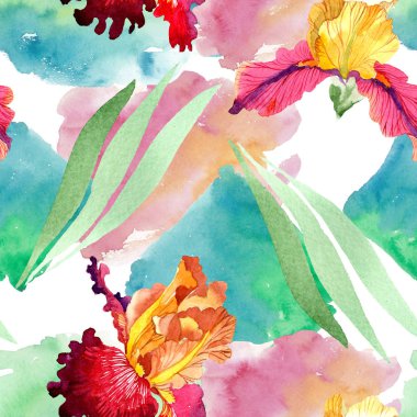 Kırmızı Bold karşılaşma iris çiçek botanik çiçekler. Suluboya arka plan illüstrasyon seti. Kesintisiz arka plan deseni.