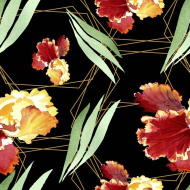 Kırmızı Bold karşılaşma iris çiçek botanik çiçekler. Suluboya arka plan illüstrasyon seti. Kesintisiz arka plan deseni.