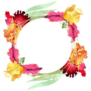 Kırmızı Bold karşılaşma iris çiçek botanik çiçekler. Suluboya arka plan illüstrasyon seti. Çerçeve kenarlık süs karesi.