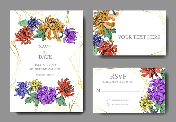 Vector Chrysanthemum flores botânicas florais. Arte de tinta gravada. Casamento cartão de fundo floral borda decorativa . — Vetor de Stock