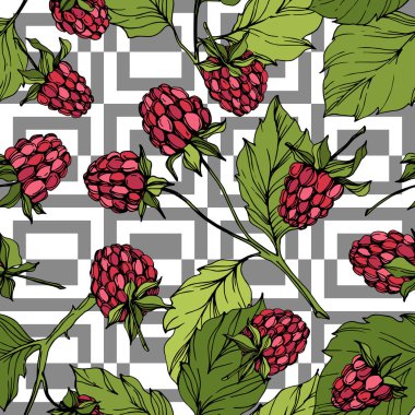 Vektör Ahududu sağlıklı gıda izole. Kırmızı ve yeşil kazınmış mürekkep sanatı. Kesintisiz arka plan deseni.