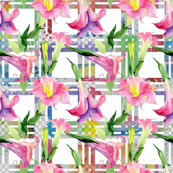핑크 브루 그만 시아 꽃 식물 꽃입니다. 수채화 배경 그림 집합입니다. 완벽 한 배경 패턴. — 스톡 사진