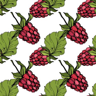 Vektör Ahududu sağlıklı gıda izole. Kırmızı ve yeşil kazınmış mürekkep sanatı. Kesintisiz arka plan deseni.