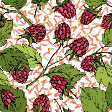 Vektör Ahududu sağlıklı gıda izole. Kırmızı ve yeşil kazınmış mürekkep sanatı. Kesintisiz arka plan deseni.