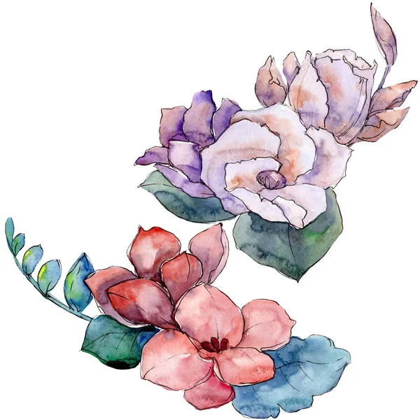 Букет квіткових ботанічних квітів. Набір ілюстрацій для акварельного фону. Ізольовані букети елемент ілюстрації . — стокове фото