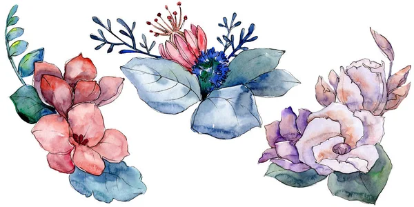 Buquê flores botânicas florais. Conjunto de ilustração de fundo aquarela. Isolados buquês elemento ilustrativo . — Fotografia de Stock