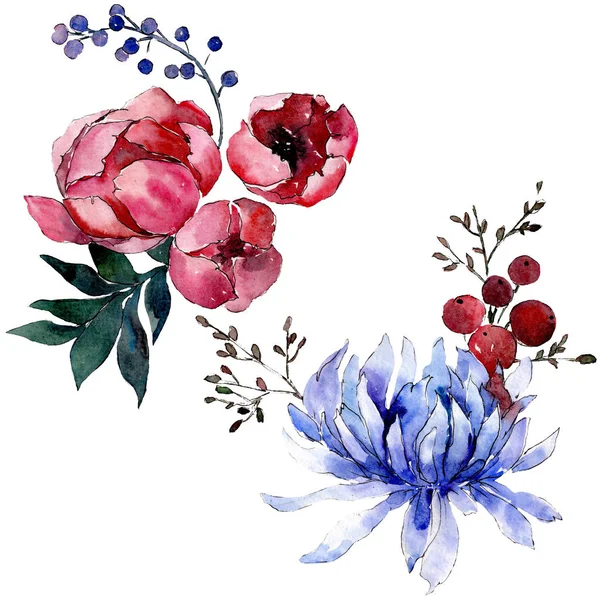Csokor virágos botanikus virágok. Akvarell háttér illusztráció meg. Lehántott csokrok illusztrációs elem. — Stock Fotó