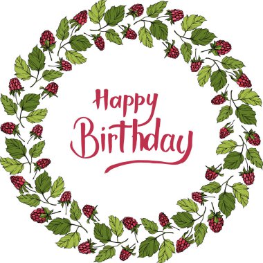 Vektör Ahududu sağlıklı gıda izole. Kırmızı ve yeşil kazınmış mürekkep sanatı. Çerçeve kenarlık süs karesi.