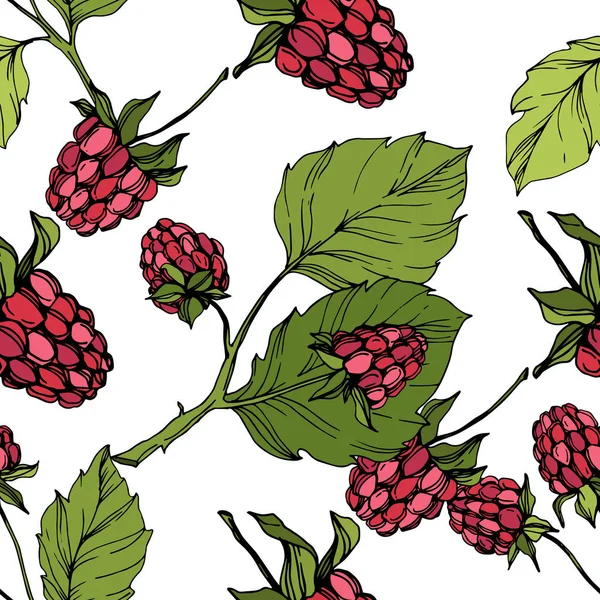 Vector Raspberry alimentos saludables aislados. Tinta grabada roja y verde. Patrón de fondo sin costuras . — Vector de stock