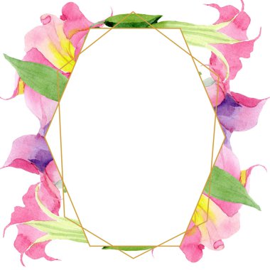 Pembe brugmansia çiçek botanik çiçekler. Suluboya arka plan illüstrasyon seti. Çerçeve kenarlık süs karesi.