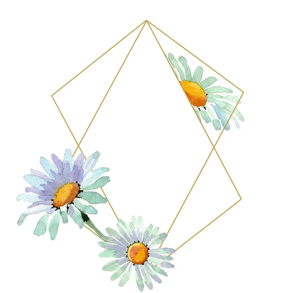 Grandes flores botânicas florais de camomila branca. Conjunto de ilustração de fundo aquarela. Quadro borda ornamento quadrado . — Fotografia de Stock