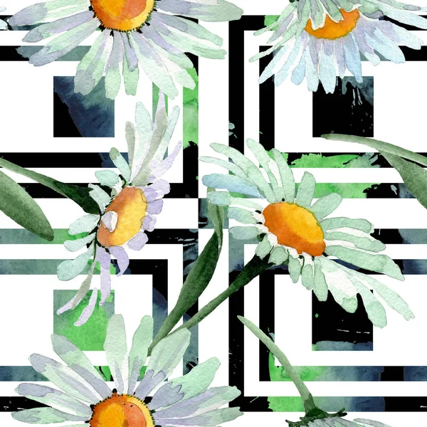 큰 흰색 카모마일 꽃 식물 꽃입니다. 수채화 배경 일러스트 세트입니다. 원활한 배경 패턴. — 스톡 사진
