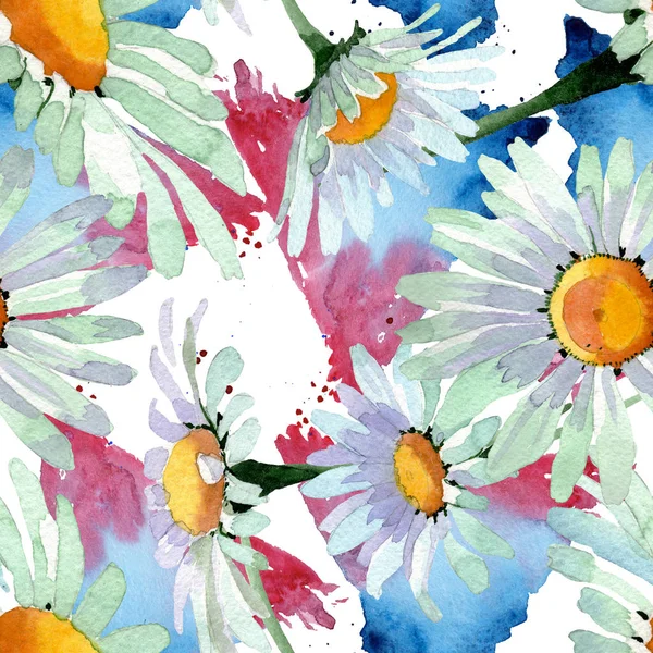 Velké bílé heřmánkový květinové botanické květy. Vodný obrázek pozadí-barevný. Bezespání vzorek pozadí. — Stock fotografie
