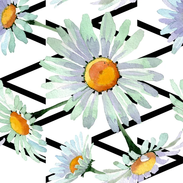 Große weiße Kamille Blumen botanischen Blüten. Aquarell Hintergrundillustration Set. nahtloses Hintergrundmuster. — Stockfoto