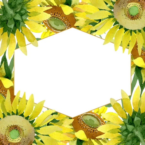 Girasol flores botánicas florales. Conjunto de ilustración de fondo acuarela. Marco borde ornamento cuadrado . — Foto de Stock