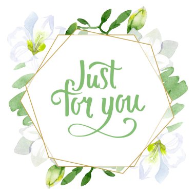 Beyaz frezya çiçekli botanik çiçekleri. Suluboya arkaplan çizimi. Çerçeve kenar süsü kare.