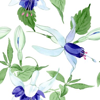 Mavi fuşya çiçek botanik çiçekleri. Suluboya arka plan illüstrasyon seti. Kesintisiz arka plan deseni.