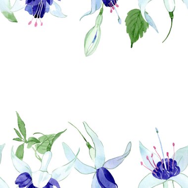Mavi fuşya çiçek botanik çiçekleri. Suluboya arka plan illüstrasyon seti. Çerçeve kenarlık süs karesi.