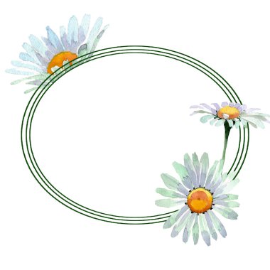 Büyük beyaz papatya çiçek botanik çiçekler. Suluboya arka plan illüstrasyon seti. Çerçeve kenarlık süs karesi.