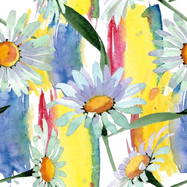 Büyük beyaz papatya çiçek botanik çiçekler. Suluboya arka plan illüstrasyon seti. Kesintisiz arka plan deseni.