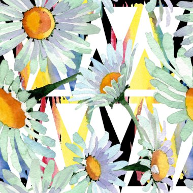 Büyük beyaz papatya çiçek botanik çiçekler. Suluboya arka plan illüstrasyon seti. Kesintisiz arka plan deseni.